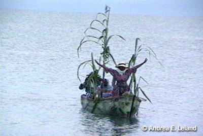 The Garifuna Journey